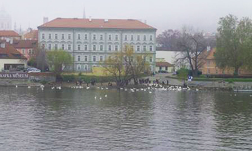 Vltava Swan Parking