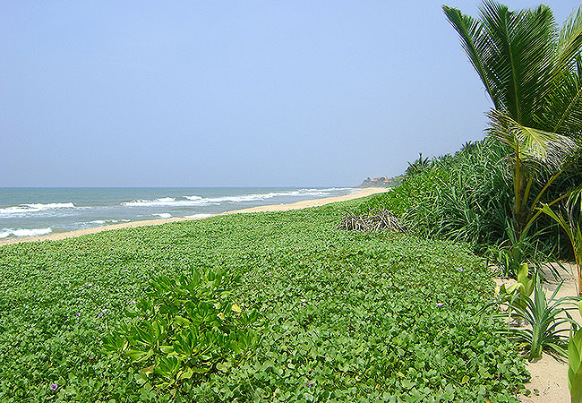 07-Shri Lanka