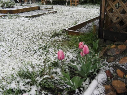 Зима в Канаде может быть в любое время года (на фото 30 мая)