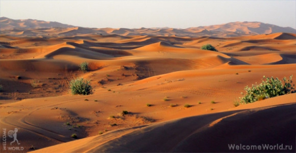 Пустыня ОАЭ